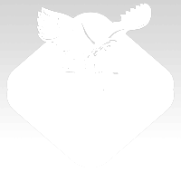 raasm logo bw 200
